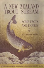 A New Zealand Trout Stream 