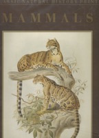 Classic Natural History Prints - Mammals 