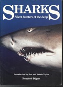 Sharks Silent Hunters of the Deep